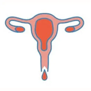 Gynaecologist